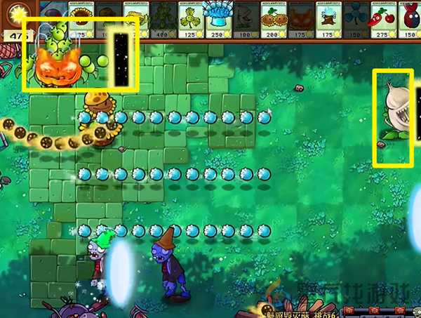 《植物大战僵尸杂交版》魅惑毁灭菇6通关攻略(图2)