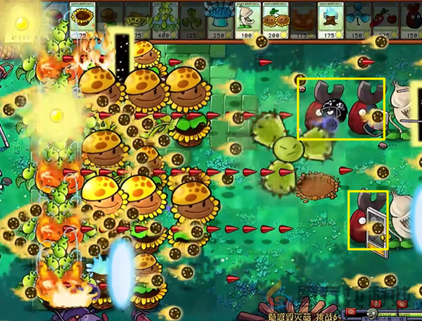 《植物大战僵尸杂交版》魅惑毁灭菇6通关攻略(图5)