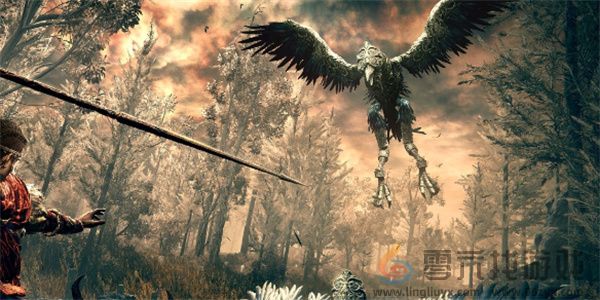 艾尔登法环黄金树幽影弓箭流玩法指南分享(图1)